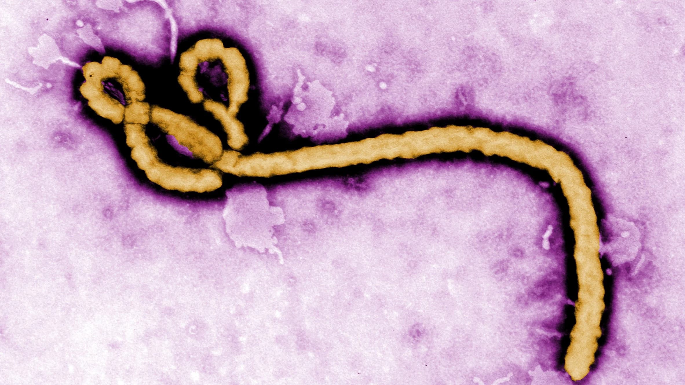 Nje ọria Ebola awụbatala n'ime mba Naijiria